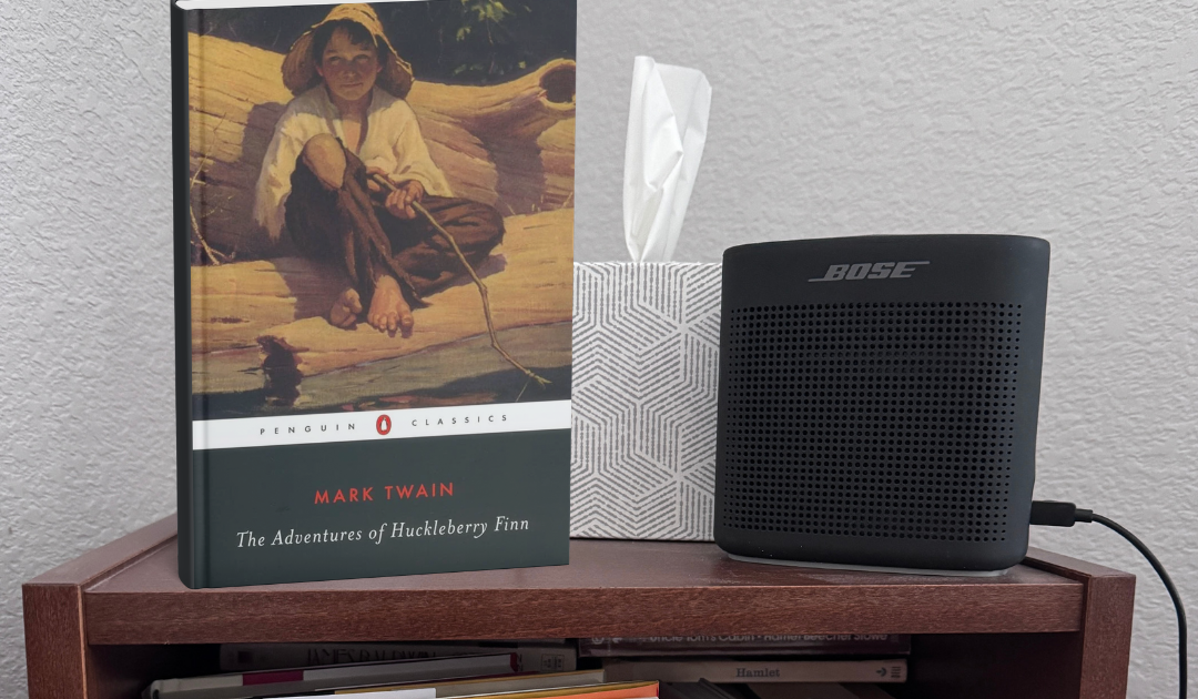 Die Abenteuer des Huckleberry Finn von Mark Twain ~ Eine Seite vor dem Schlafengehen